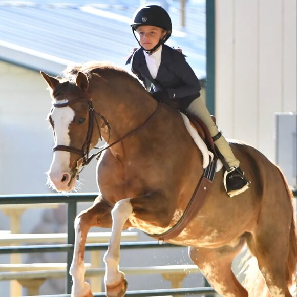 Kerrits Kids Competitor Koat Size 40 – Navy Show Coat, NWOT, Equestrian Essentia - Picture 6 of 16